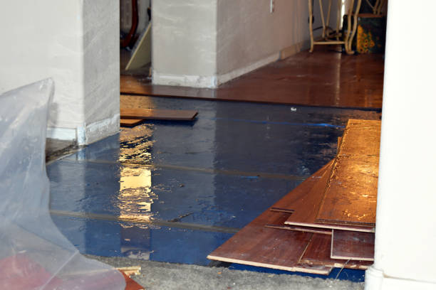 Professional Burst Pipe Cleanup technician working in Osgood, IN